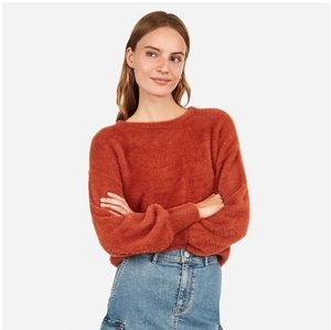 Express Small Fuzzy Balloon Sleeze Sweater